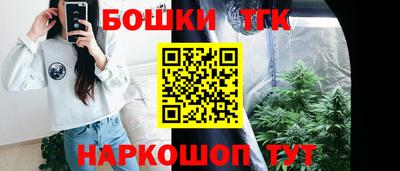 индика Вышний Волочёк